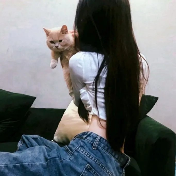 锁麟囊